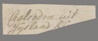 L 00205
<br/>
Label met opschrift
<br/>
<em></em>